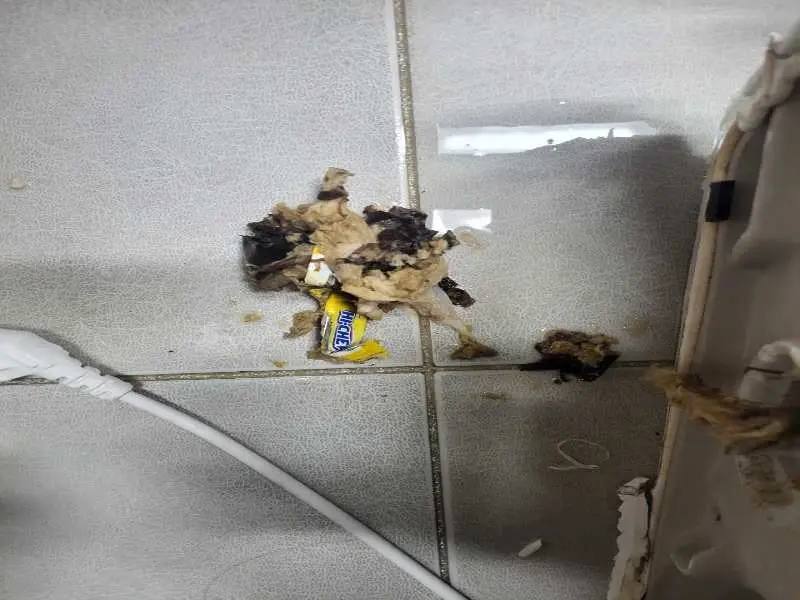 가평 배관 이물질 제거 사례 6